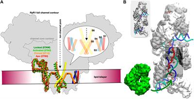 Building Biological Relevance Into Integrative Modelling of Macromolecular Assemblies